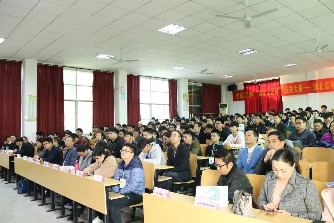 33052_s2d4_2562.jpg