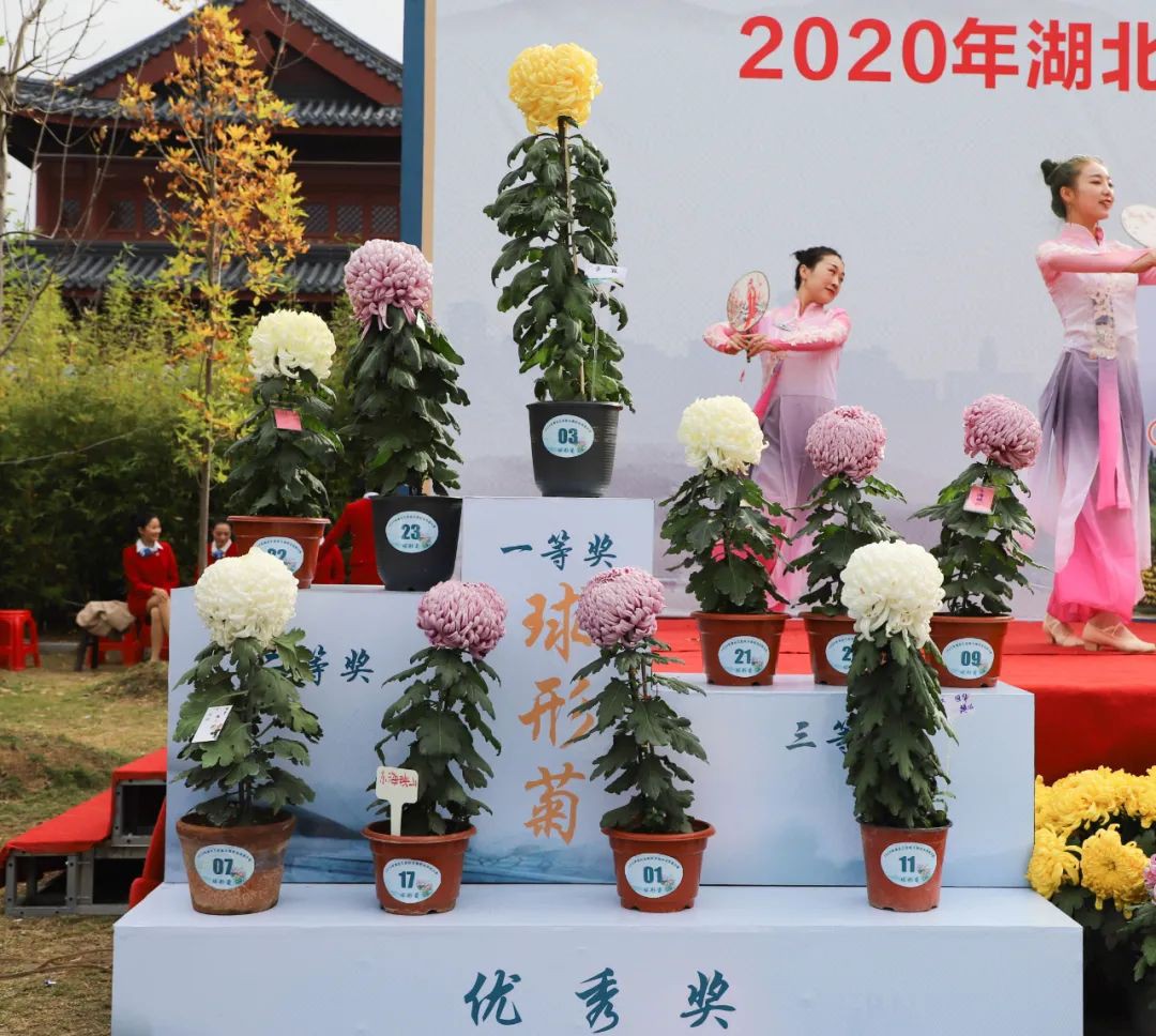 35475_eamd_3243.jpg