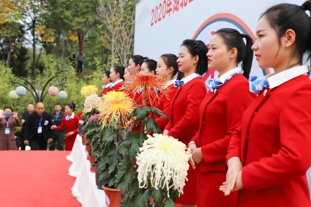 35476_wsft_7793.jpg